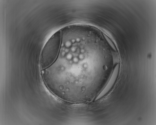 X0000116310863200912141357