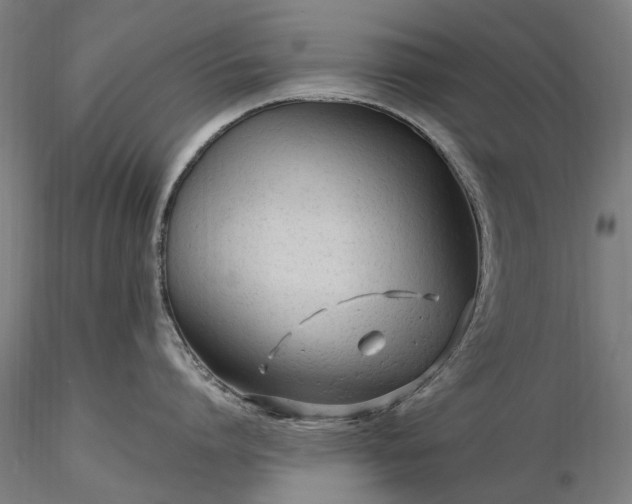 X0000116310864200912141357