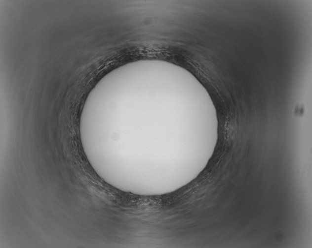 X0000116310865200912141356