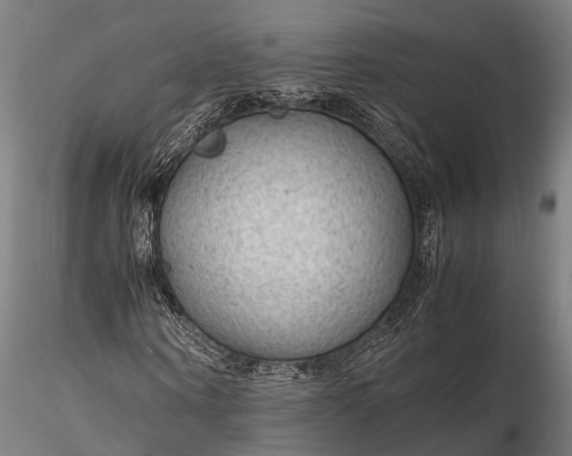 X0000116310866200912141356