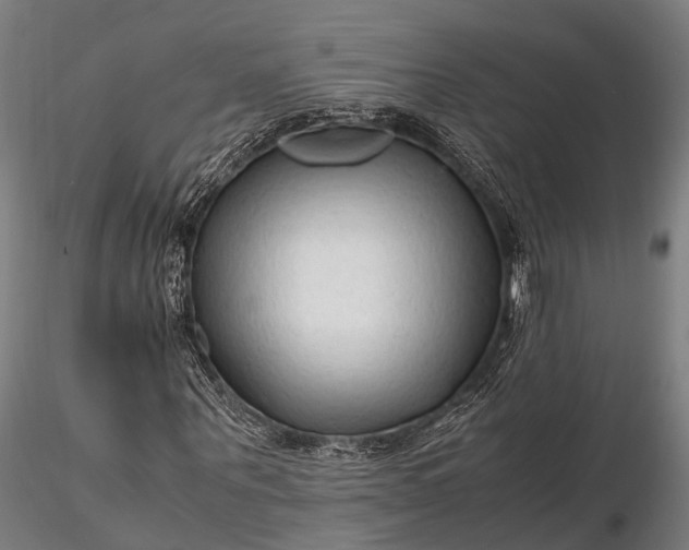 X0000116310867200912141356