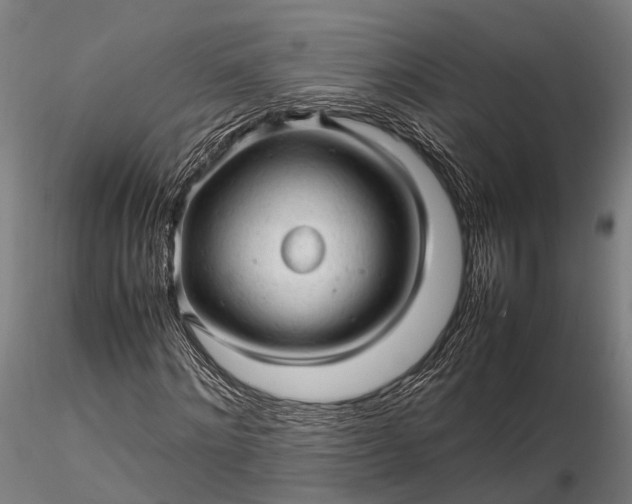 X0000116310868200912141356