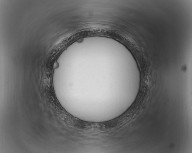 X0000116310869200912141356