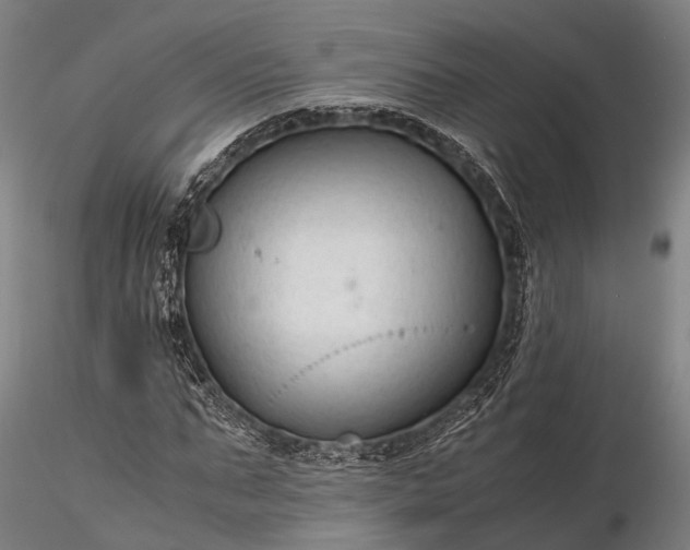 X0000116310871200912141356