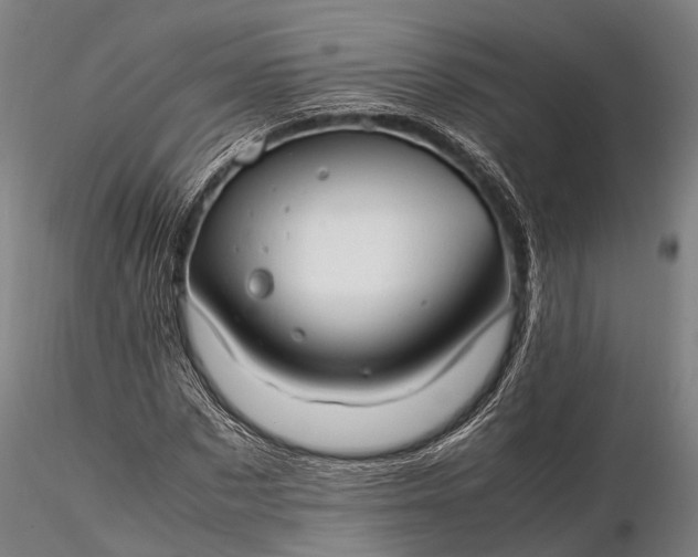 X0000116310873200912141356