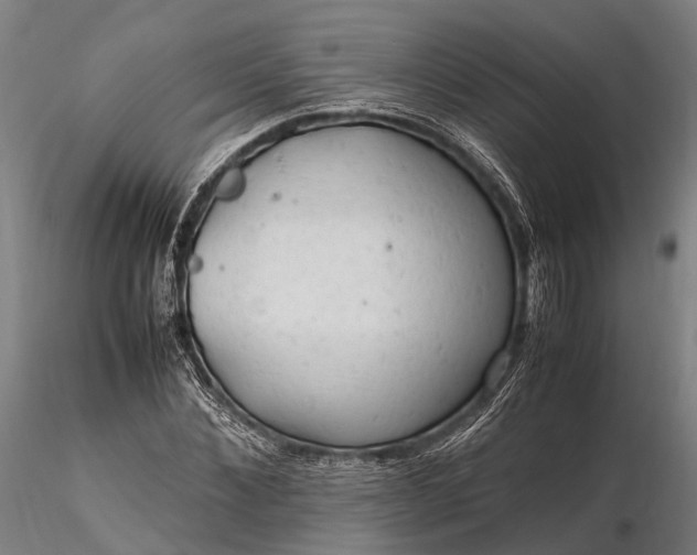 X0000116310876200912141356