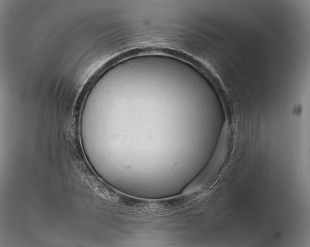 X0000116310879200912141356