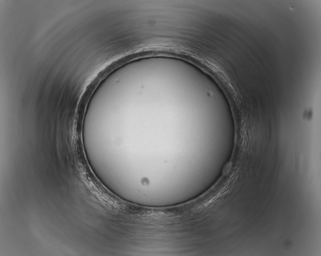 X0000116310880200912141356