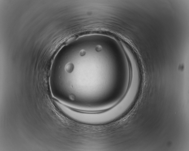 X0000116310881200912141356