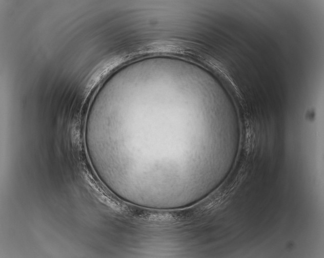 X0000116310882200912141356