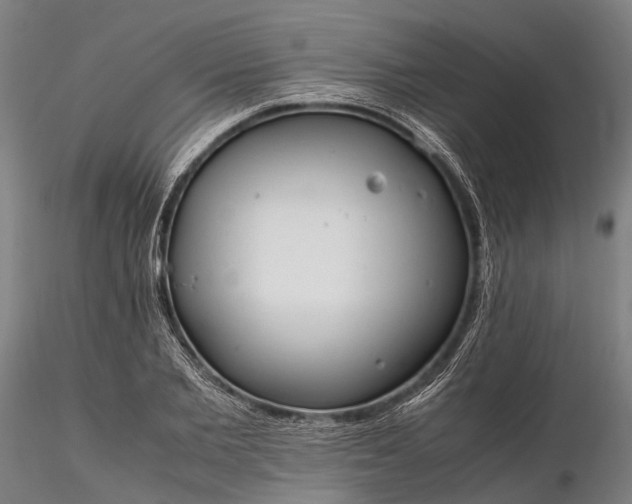 X0000116310885200912141356