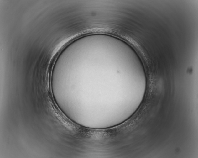 X0000116310886200912141356