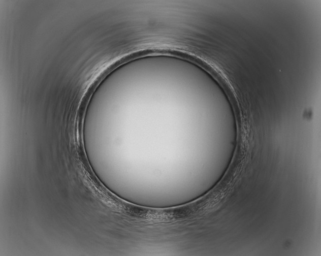 X0000116310887200912141356