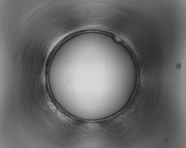 X0000116310888200912141356