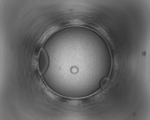 X0000116310889200912141356