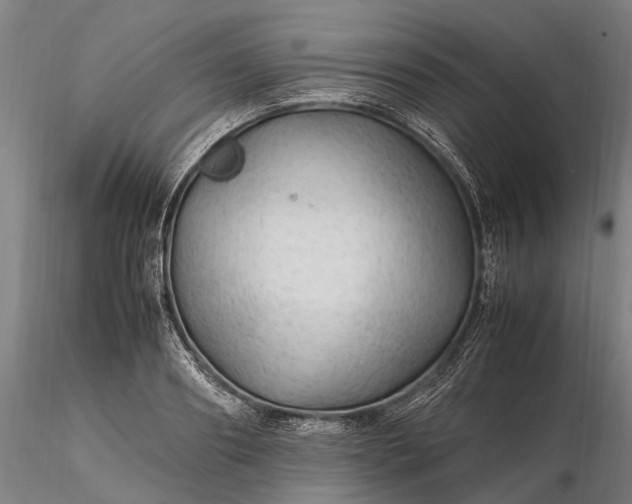 X0000116310890200912141356