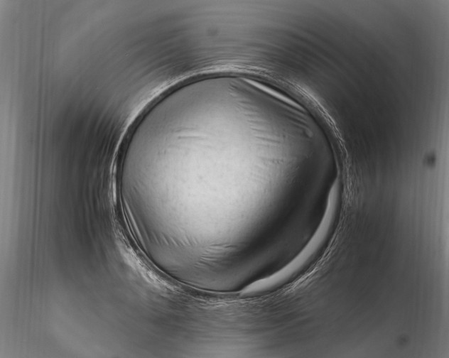 X0000116310892200912141356