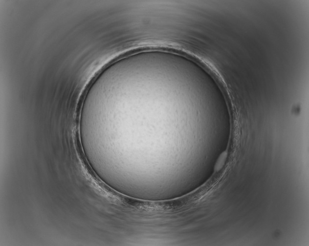 X0000116310895200912141356