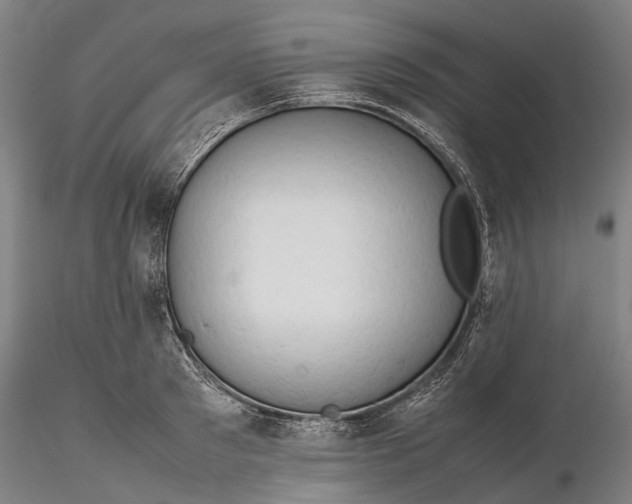 X0000116310897200912141356