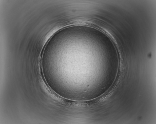 X0000116310899200912141356