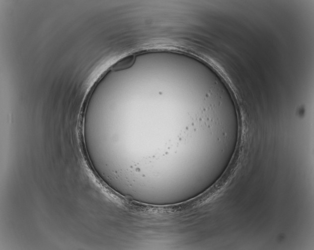 X0000116310901200912141356