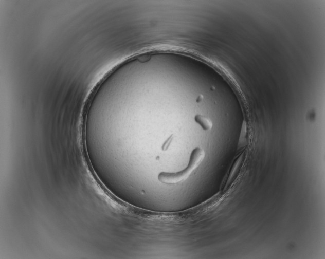 X0000116310902200912141356