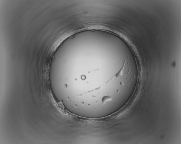 X0000116310905200912141355