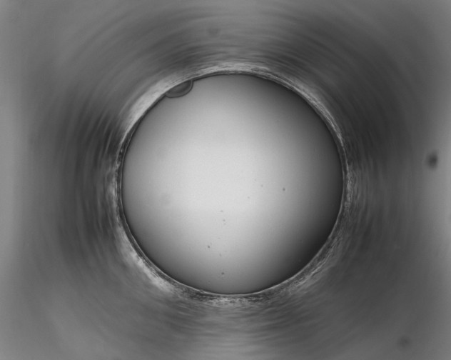 X0000116310906200912141355