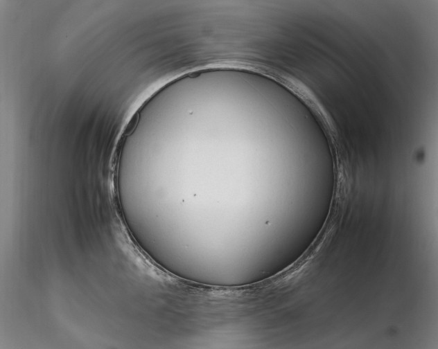 X0000116310908200912141355