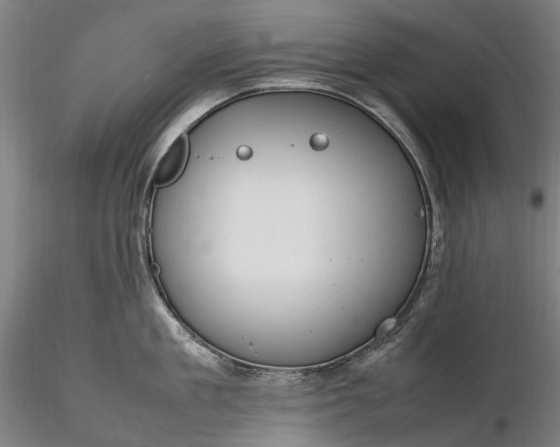 X0000116310909200912141355