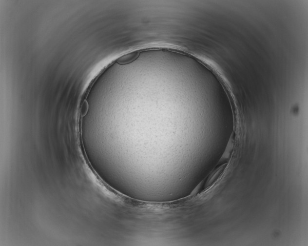 X0000116310910200912141355