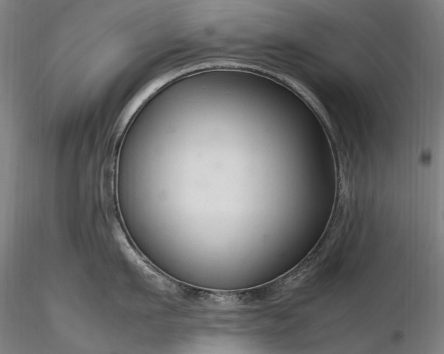 X0000116310911200912141355