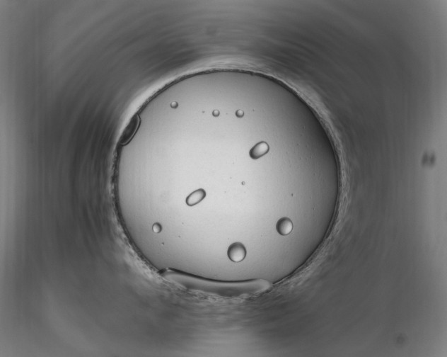 X0000116310912200912141355