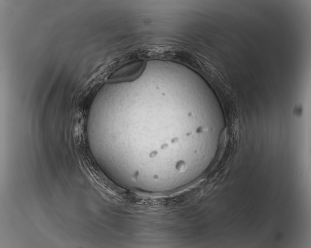 X0000116310914200912141355