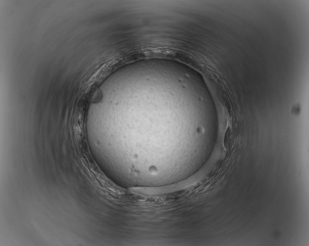 X0000116310915200912141355