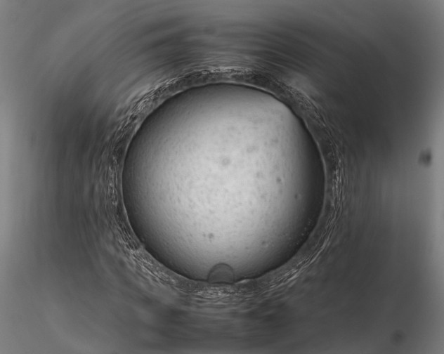 X0000116310917200912141355