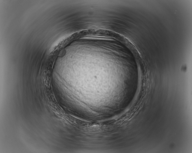 X0000116310919200912141355