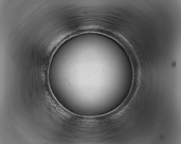 X0000116310921200912141355