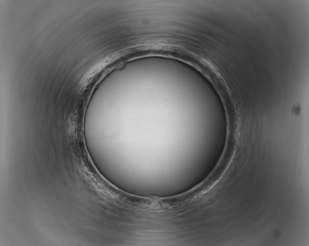 X0000116310922200912141355