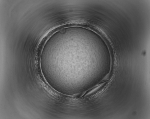 X0000116310923200912141355