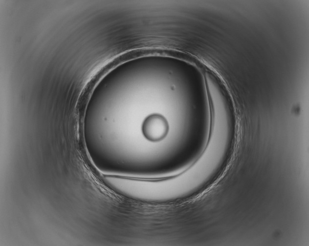 X0000116310925200912141355