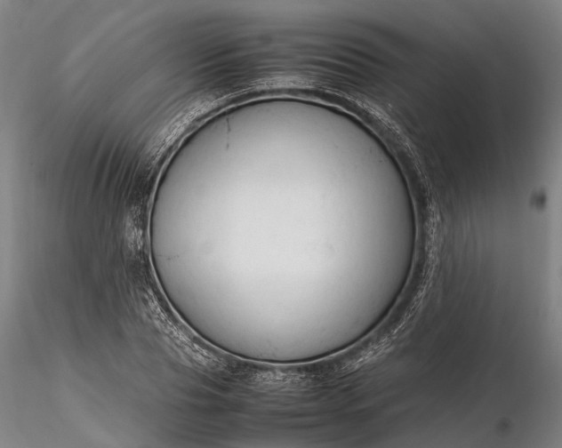 X0000116310929200912141355