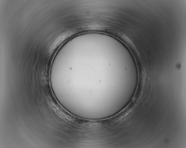 X0000116310930200912141355