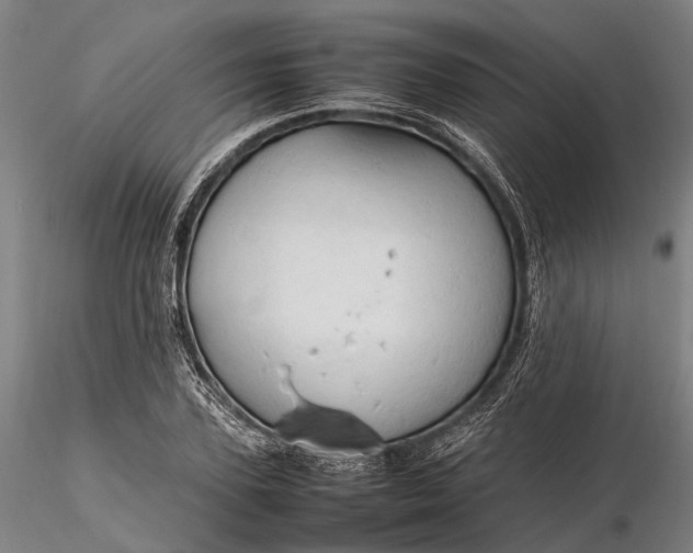 X0000116310931200912141355