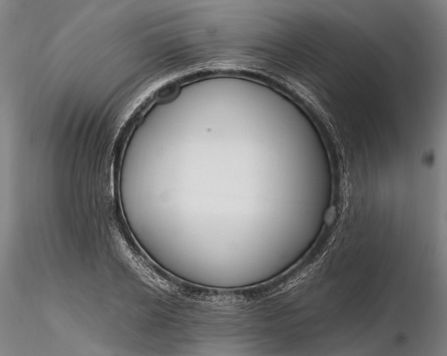 X0000116310934200912141355