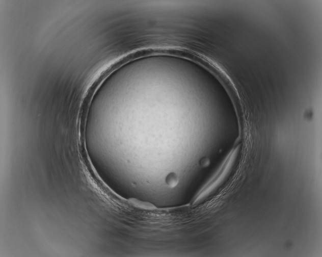 X0000116310935200912141355