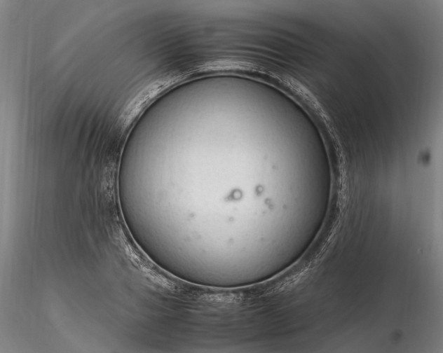 X0000116310937200912141355