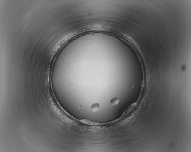 X0000116310938200912141355