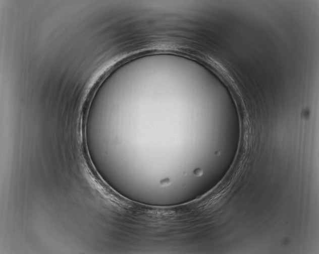 X0000116310939200912141355