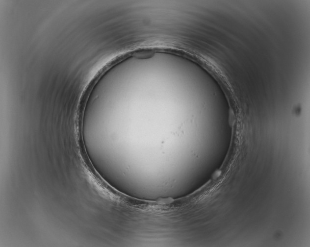 X0000116310942200912141355